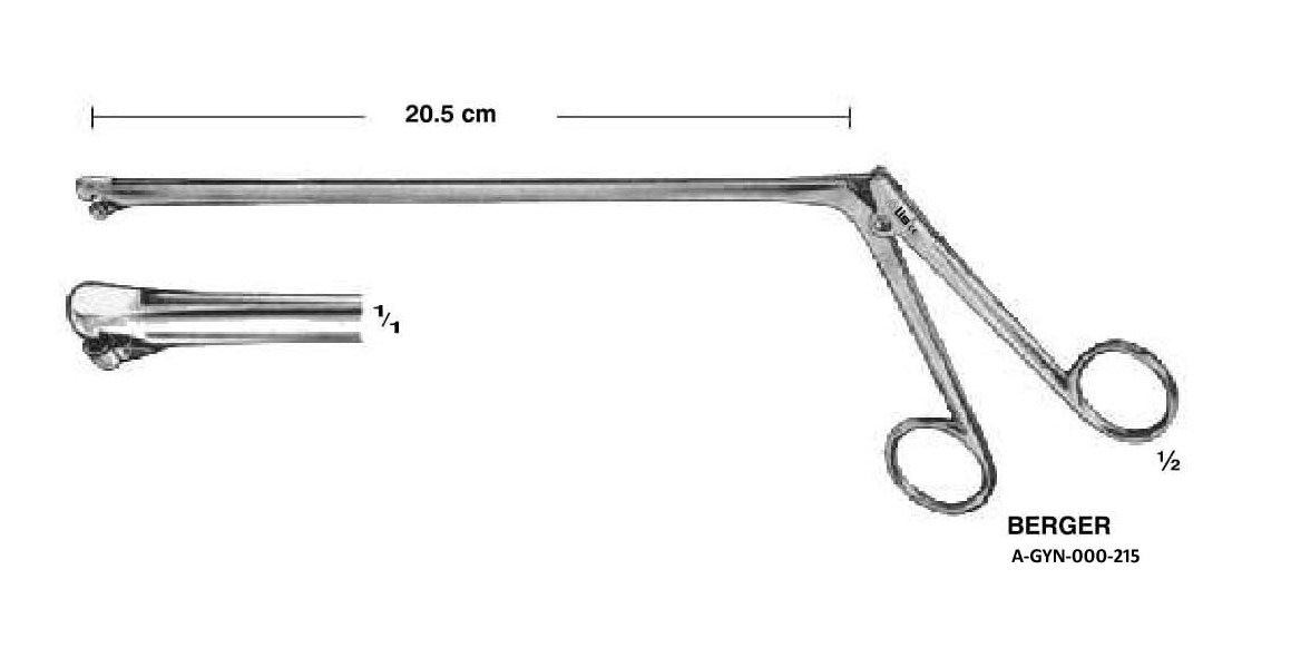 Berger surgical instruments